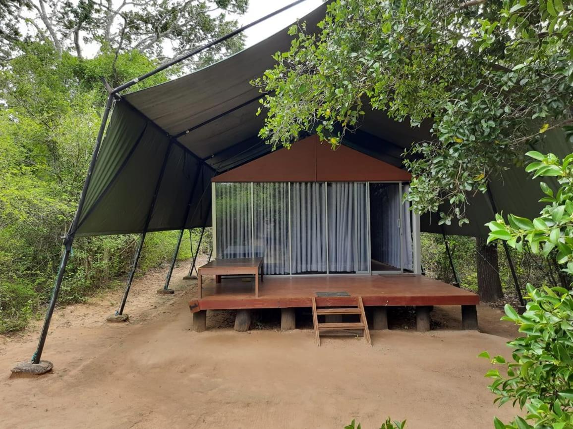 ホテル Yala Leopard Mobile Camp エクステリア 写真